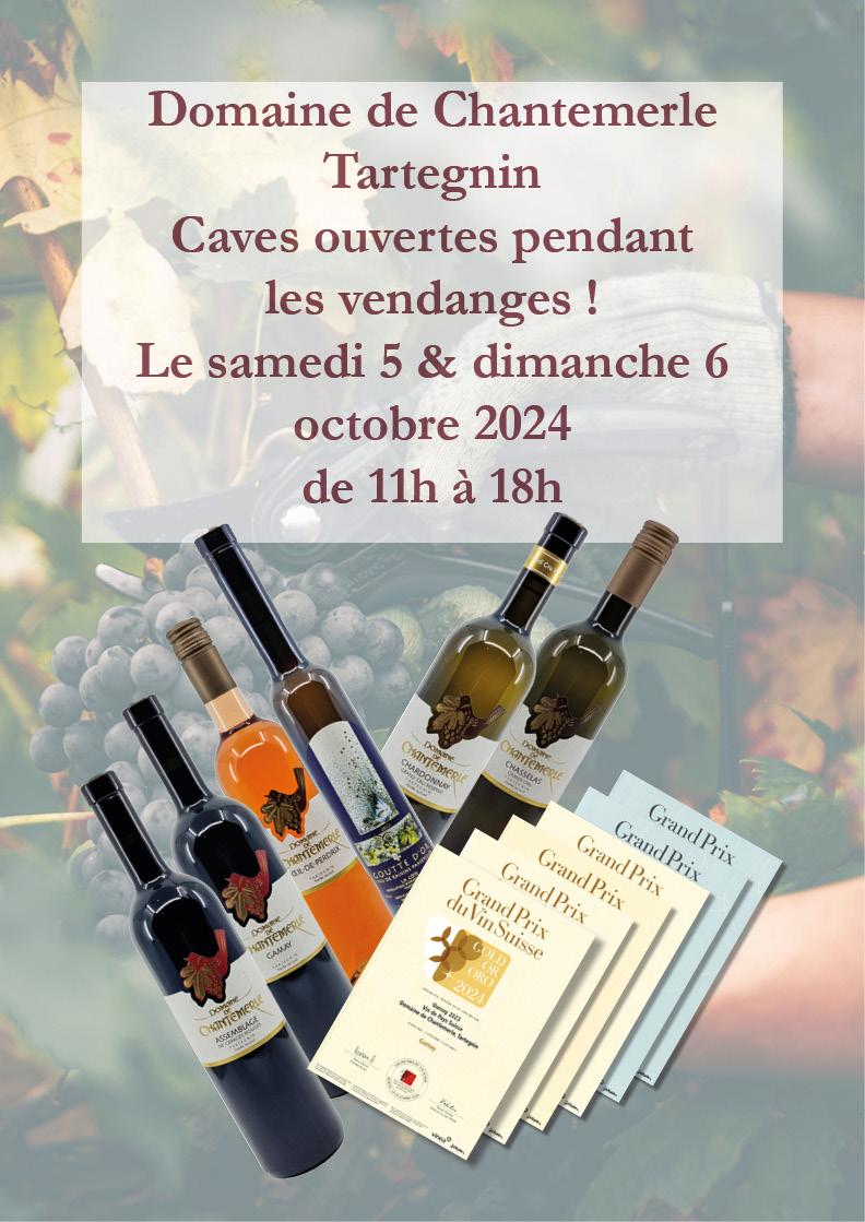 Cave ouverte vendanges 2024